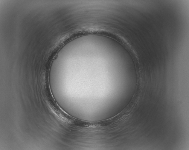 X0000077370447200610201018