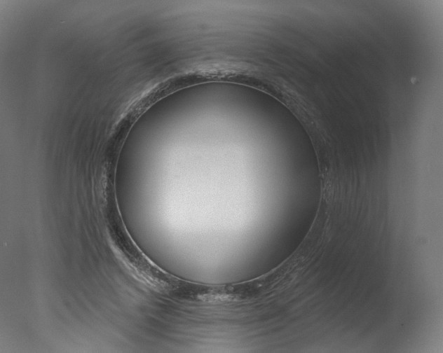 X0000077370448200610201018