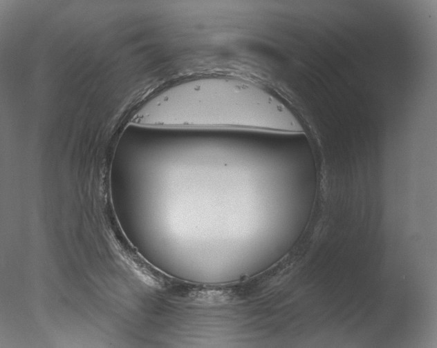 X0000077370449200610201018