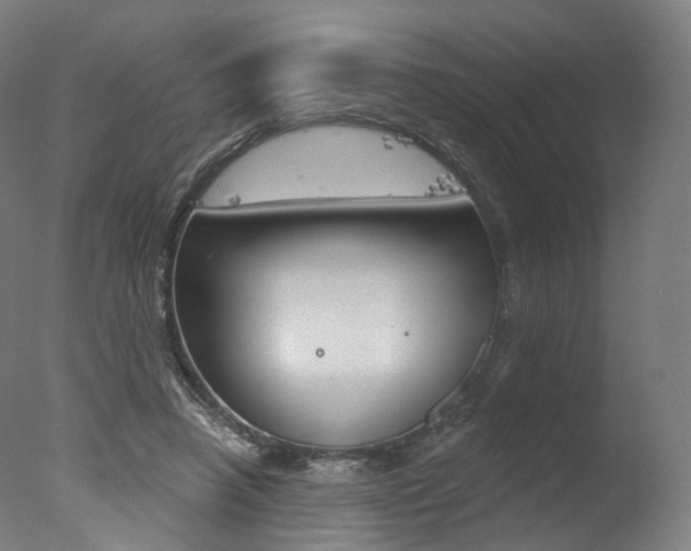 X0000077370450200610201018