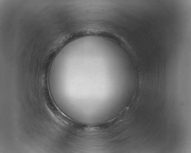 X0000077370451200610201018