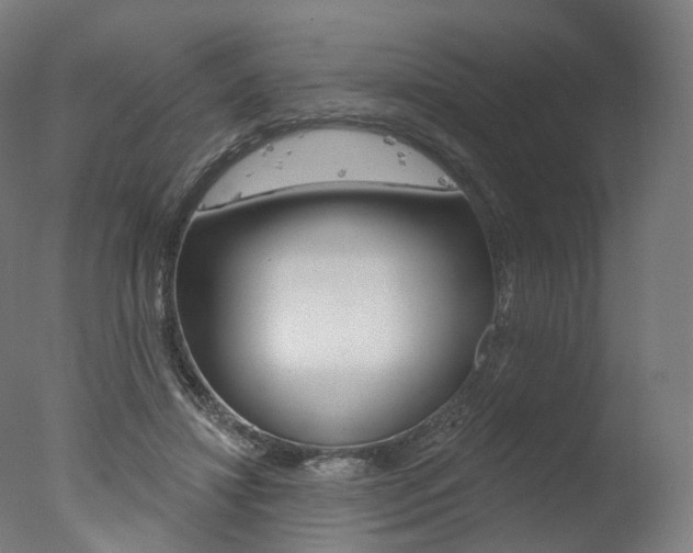 X0000077370452200610201018