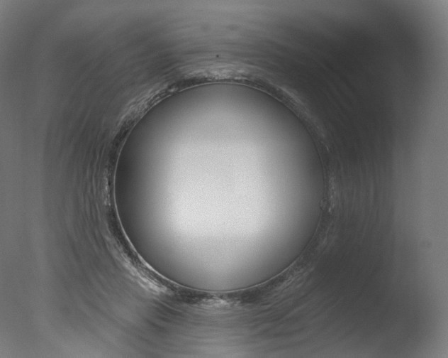 X0000077370453200610201018