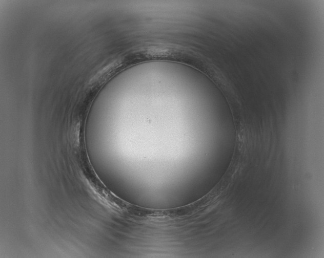 X0000077370454200610201018