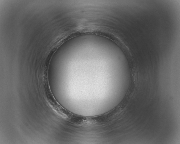 X0000077370455200610201018