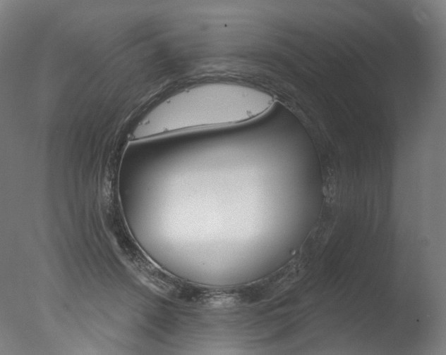 X0000077370456200610201018