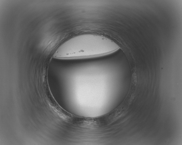 X0000077370458200610201019