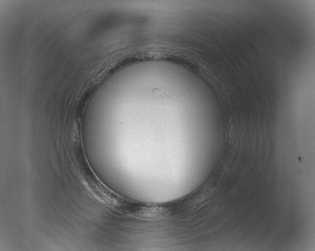 X0000077370459200610201019