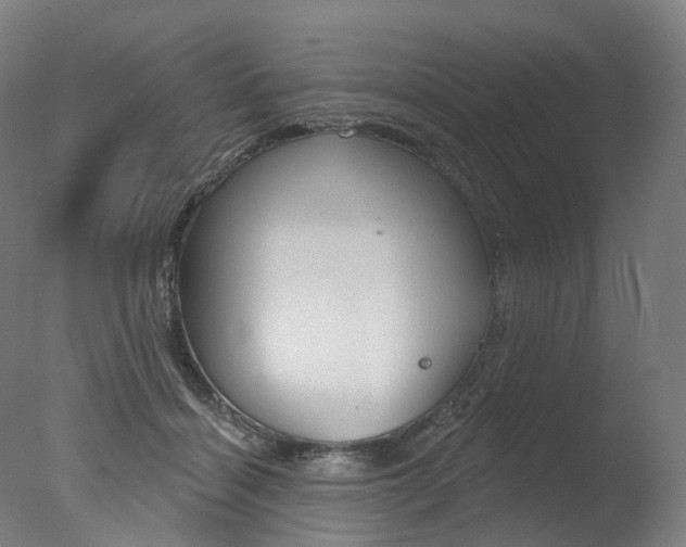 X0000077370460200610201019