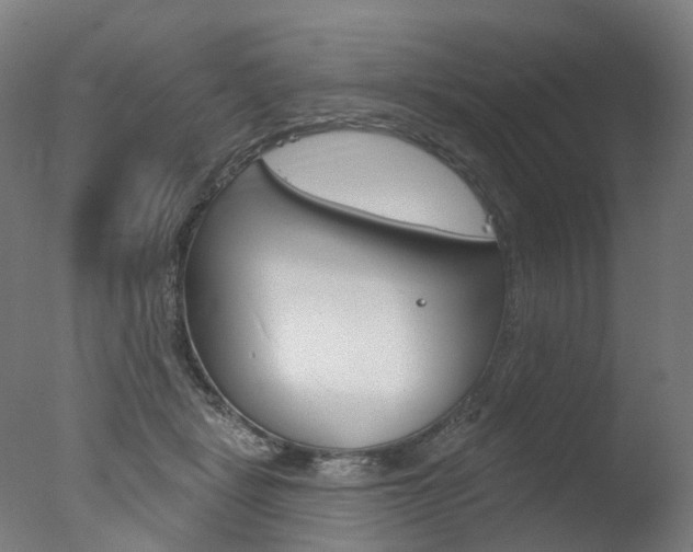 X0000077370461200610201019