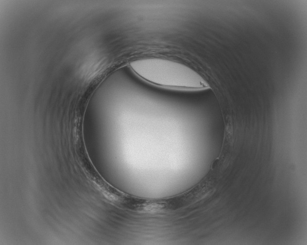 X0000077370462200610201019