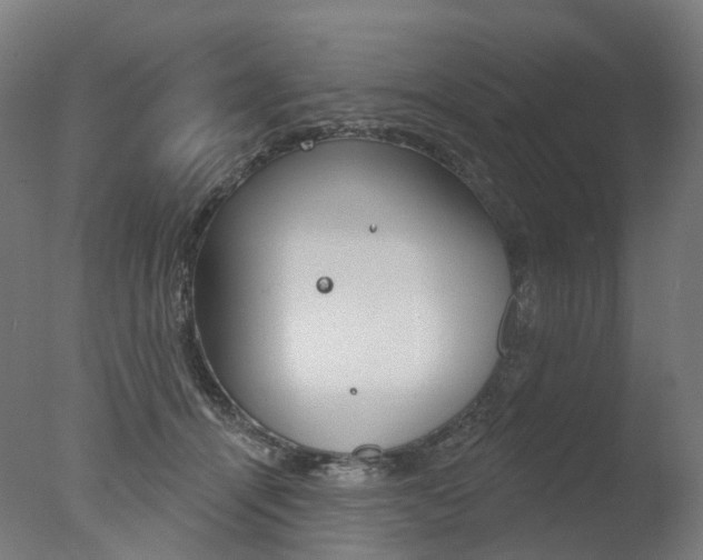 X0000077370464200610201019