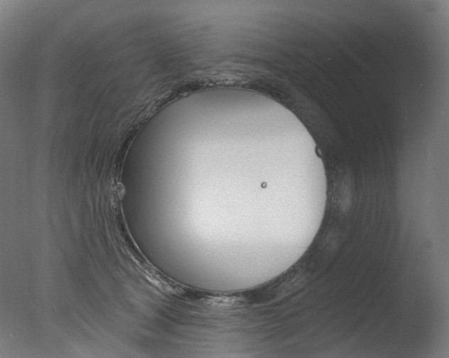 X0000077370465200610201019