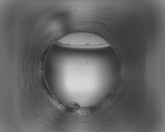 X0000077370466200610201019