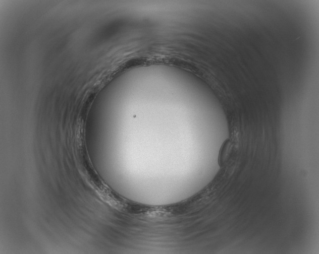 X0000077370468200610201019