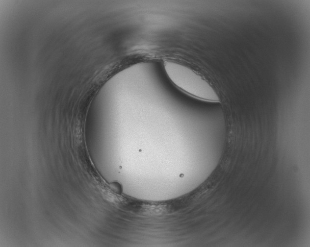 X0000077370469200610201019