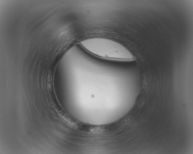 X0000077370470200610201019