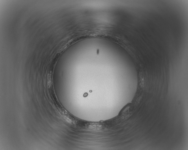 X0000077370471200610201019