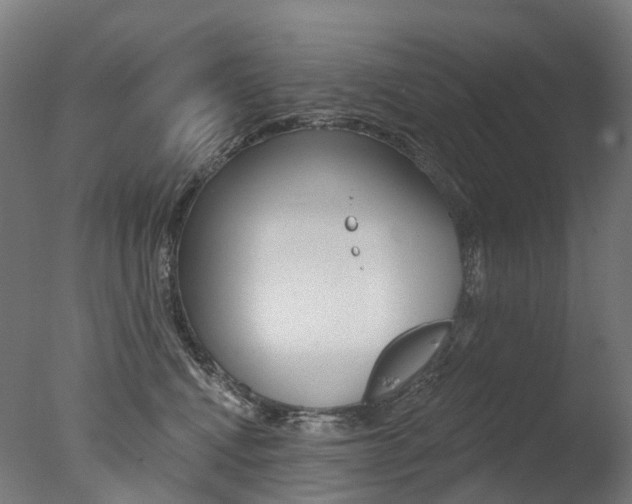 X0000077370472200610201019