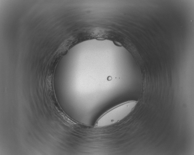 X0000077370473200610201019