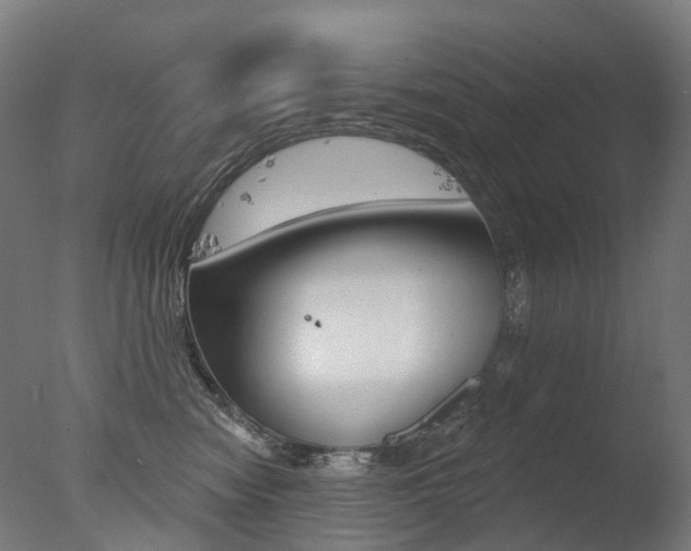 X0000077370474200610201019