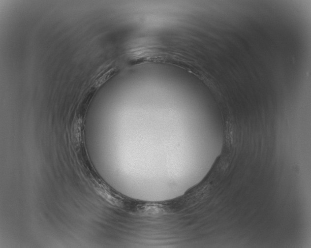 X0000077370475200610201019