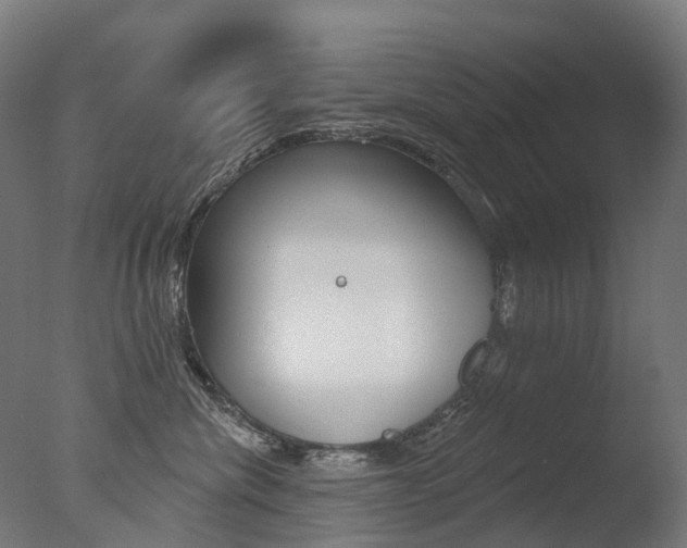 X0000077370476200610201019