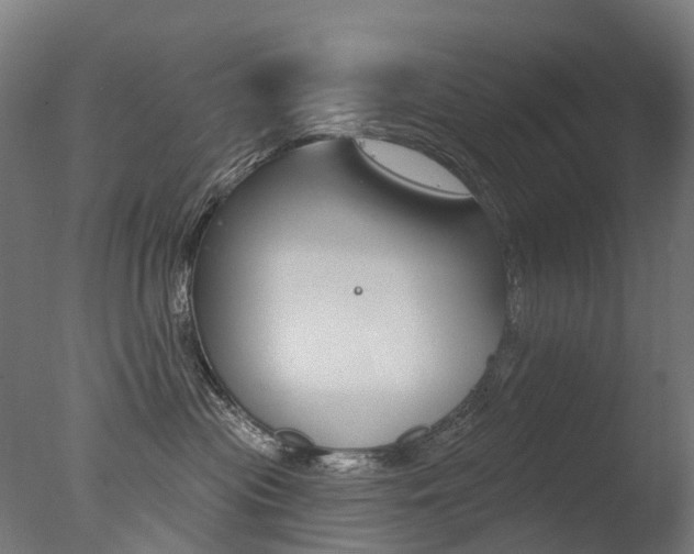 X0000077370477200610201019