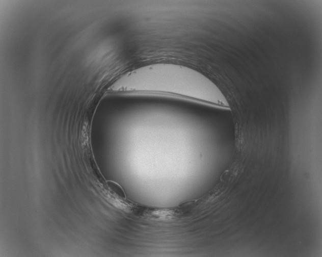 X0000077370478200610201019