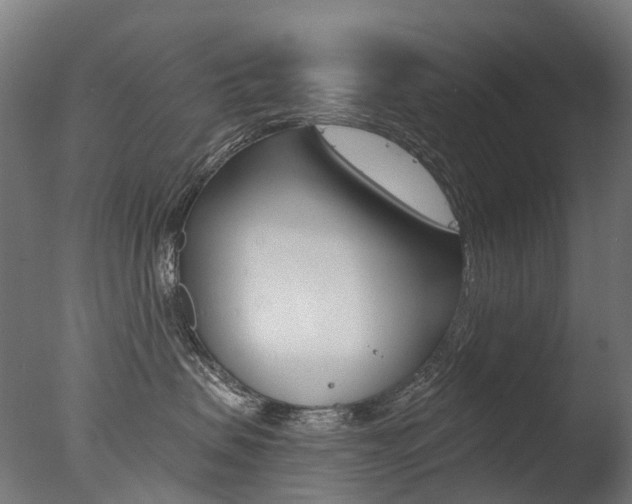 X0000077370479200610201019