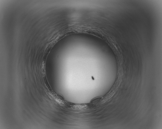 X0000077370480200610201019