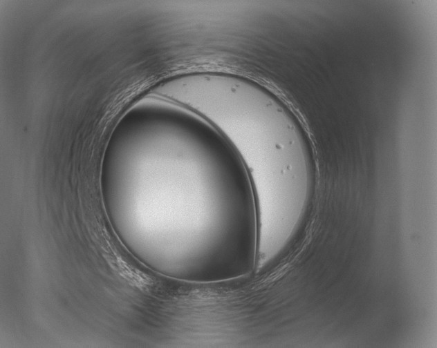 X0000077370481200610201018