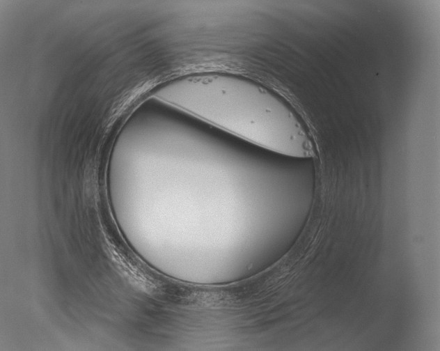 X0000077370482200610201018