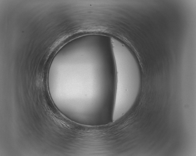 X0000077370483200610201018