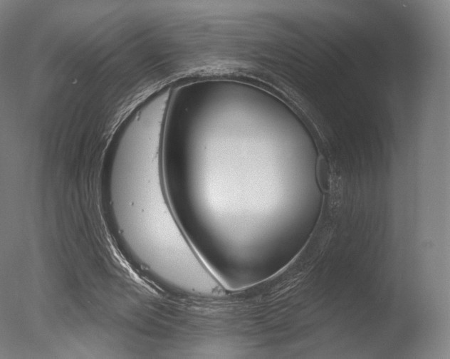 X0000077370485200610201018