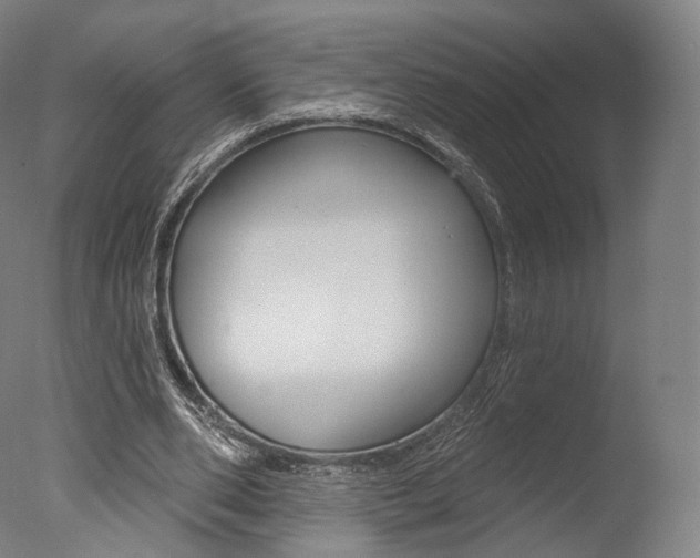 X0000077370486200610201018