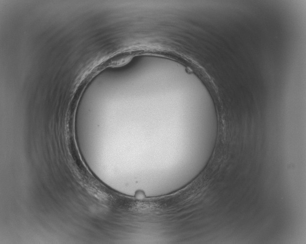 X0000077370487200610201018