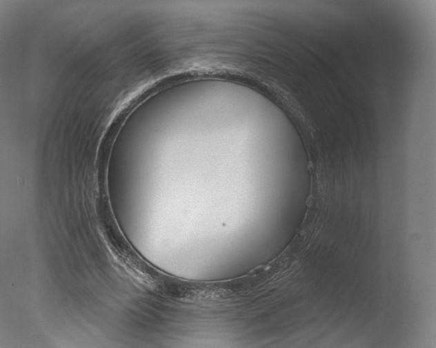 X0000077370488200610201018