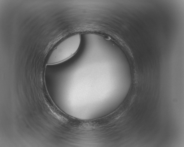 X0000077370489200610201018