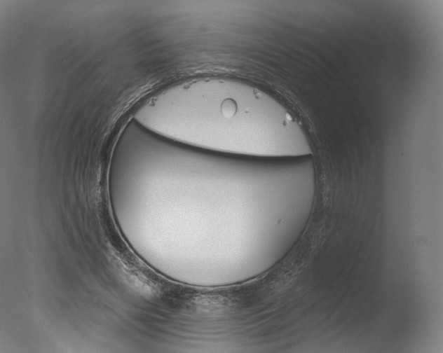 X0000077370490200610201018