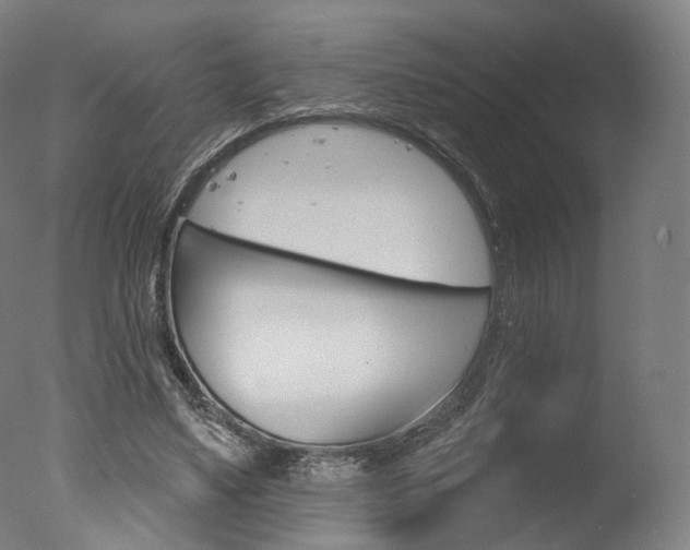 X0000077370491200610201018