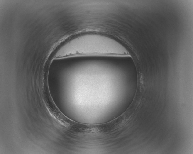 X0000077370492200610201018