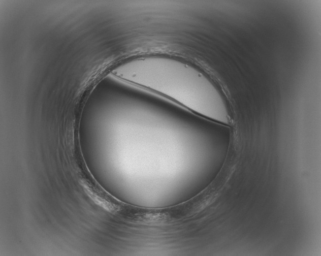 X0000077370493200610201018