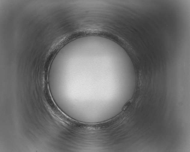 X0000077370494200610201018