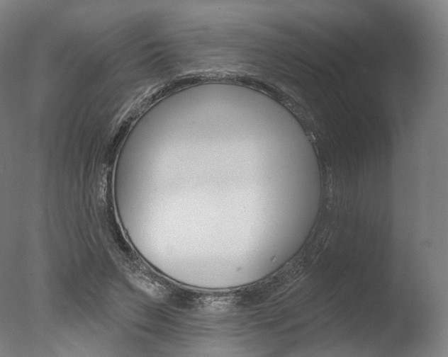 X0000077370495200610201018