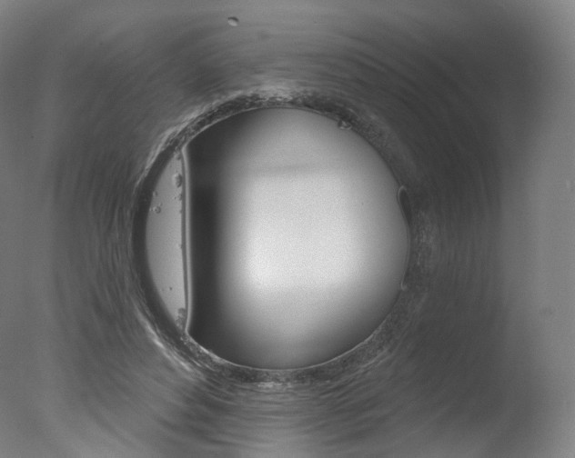 X0000077370496200610201018