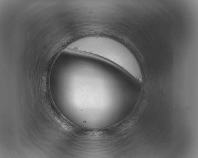 X0000077370497200610201018