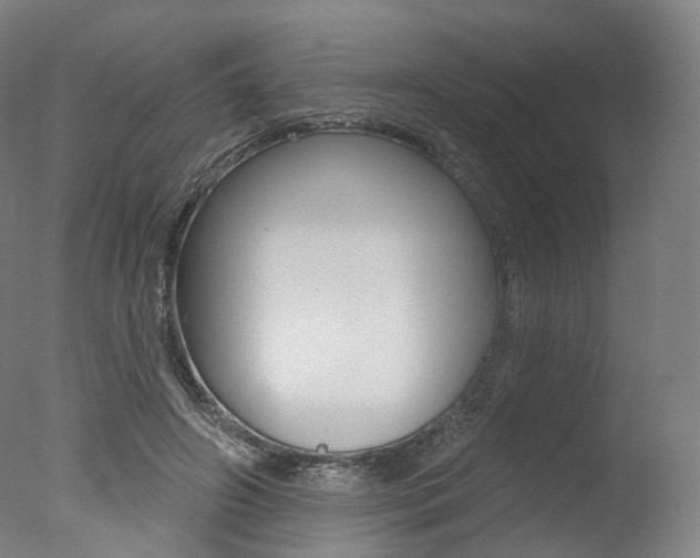 X0000077370498200610201018