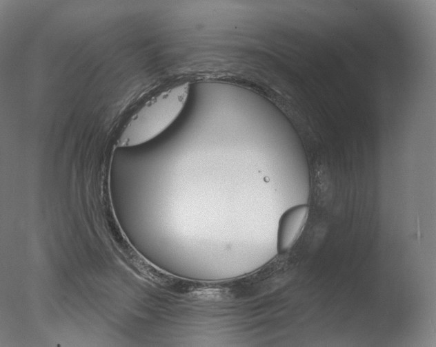 X0000077370499200610201018