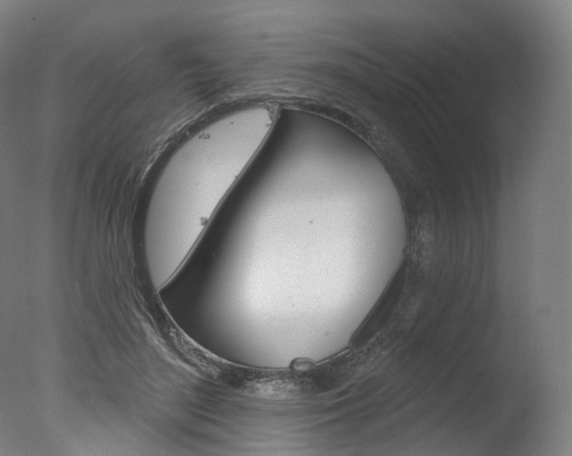 X0000077370500200610201018